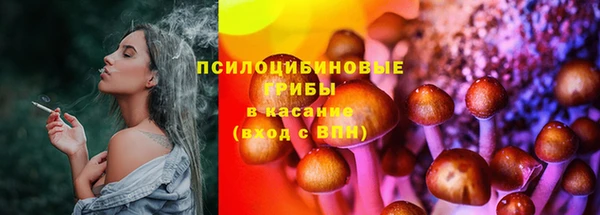 гашик Каменка