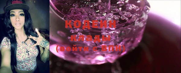 МДПВ Каменногорск