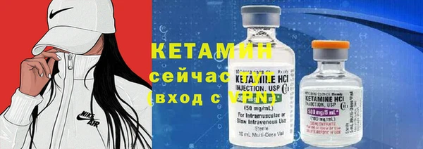 гашик Каменка