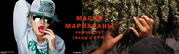 гашик Каменка