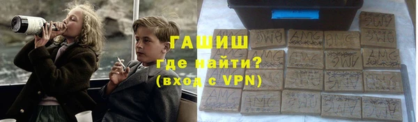 гашик Каменка