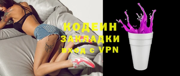 гашик Каменка