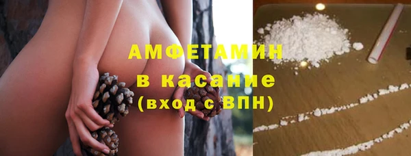 гашик Каменка