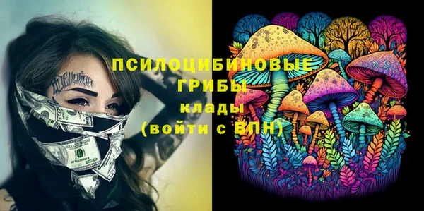 гашик Каменка