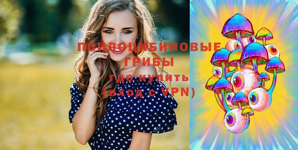 гашик Каменка