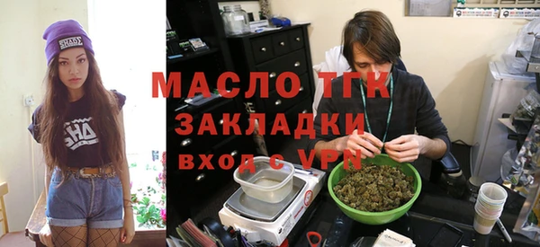 гашик Каменка