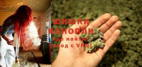 МДПВ Каменногорск