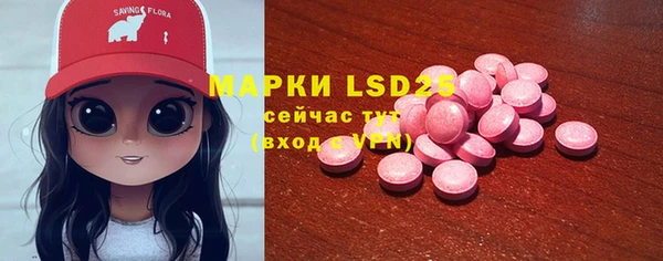 гашик Каменка