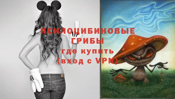 мефедрон мука Каменск-Шахтинский