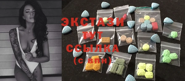 гашик Каменка