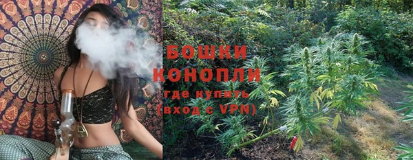 гашик Каменка