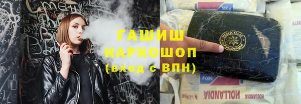 гашик Каменка
