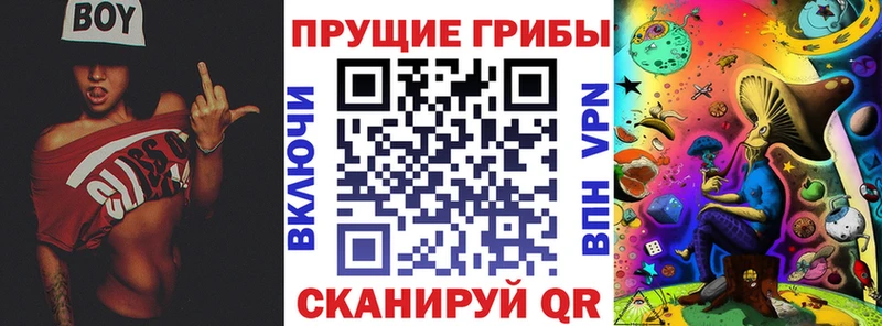 Псилоцибиновые грибы прущие грибы  Купить закладки  Демидов 